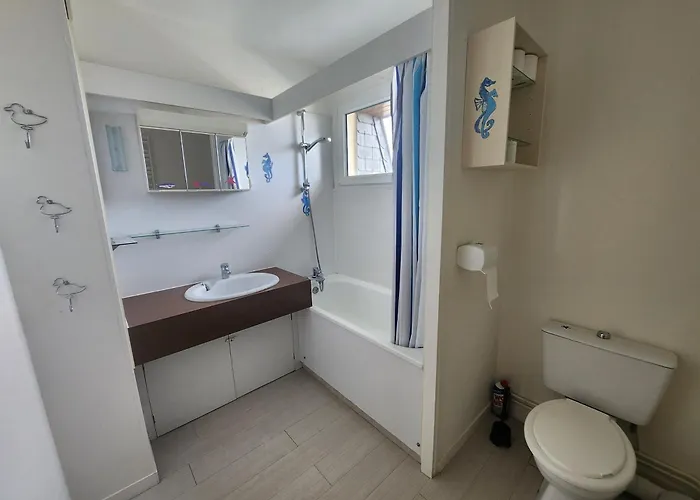 公寓 Grand 40m² Avec Coin Nuit, Vue Et Port, Parking Prive - Fr-1-746-29 *