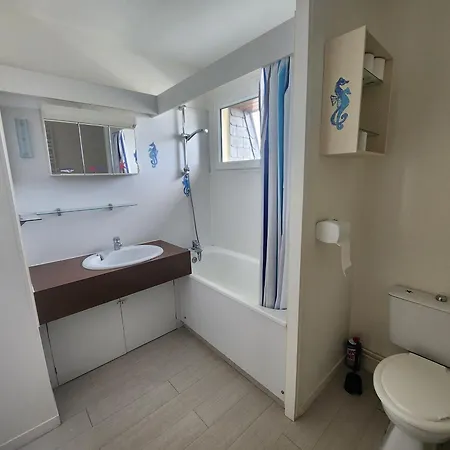 Appartement Grand 40m² Avec Coin Nuit, Vue Et Port, Parking Privé - Fr-1-746-29 *