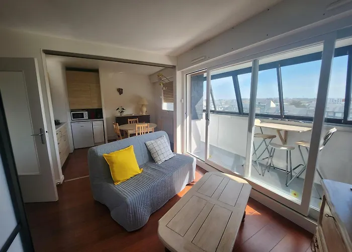 Apartment Grand 40m² Avec Coin Nuit, Vue Et Port, Parking Prive - Fr-1-746-29 *